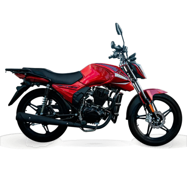 NOVA FREE 15O (EFI) 2025