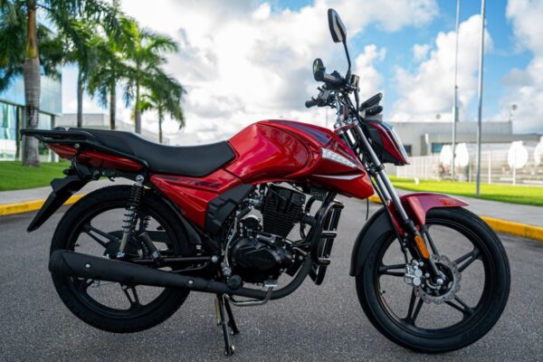 NOVA FREE 15O (EFI) 2025 - Imagem 2