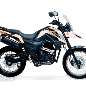 NEW SHI 175 2026